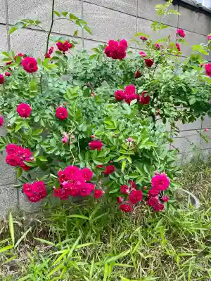 西福寺(東京都)