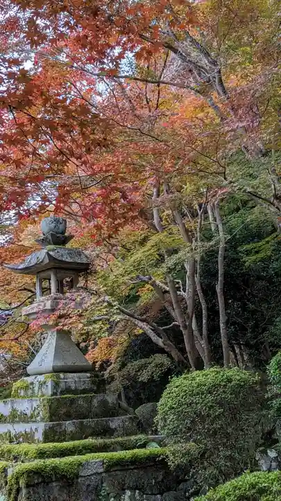 勝持寺(花の寺)(京都府)