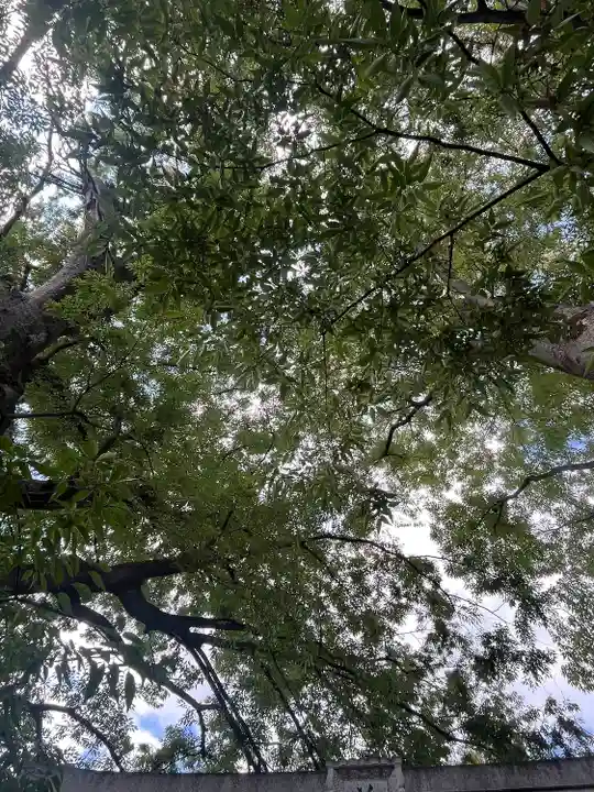 前川神社(埼玉県)