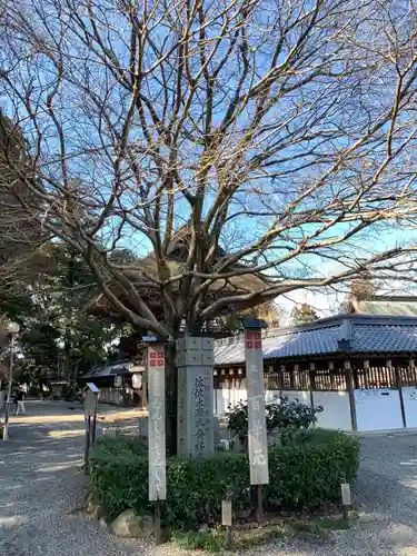 沙沙貴神社の自然