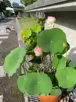 伊勢の国 四天王寺の自然