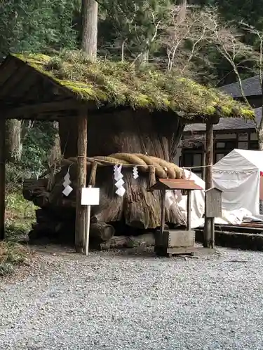 小國神社の自然