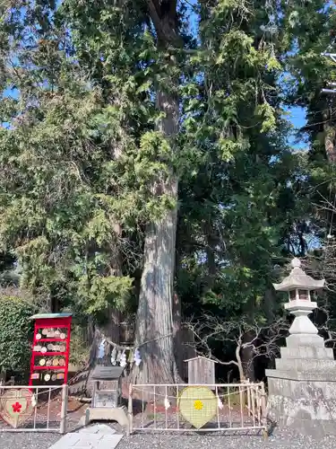 矢奈比賣神社（見付天神）(静岡県)