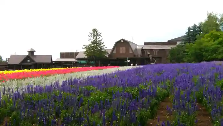 富良野神社の周辺