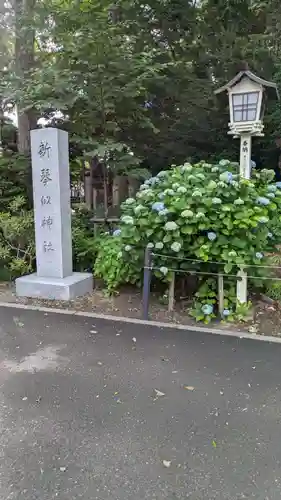 新琴似神社の自然