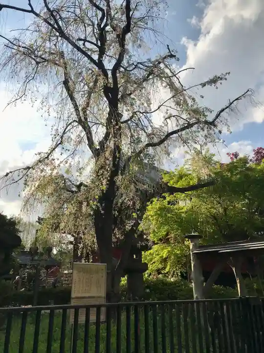 清水観音堂の自然