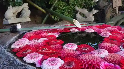 東京羽田 穴守稲荷神社(東京都)