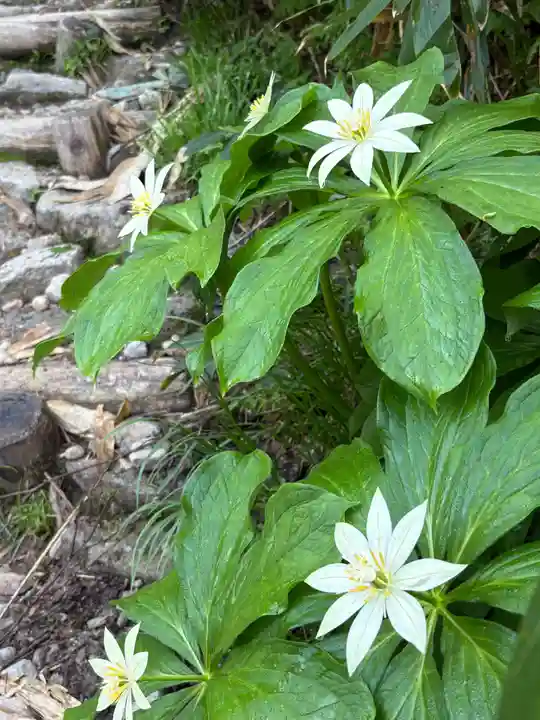 白山比咩神社 奥宮(石川県)
