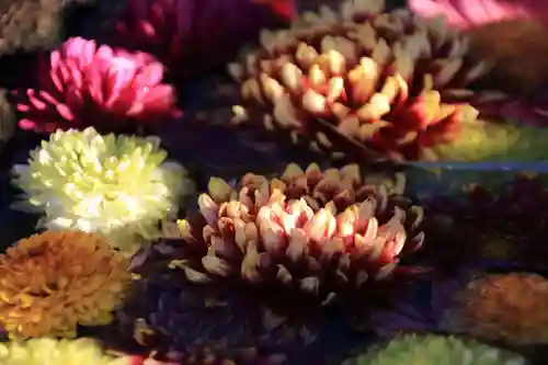 大鏑神社の手水舎