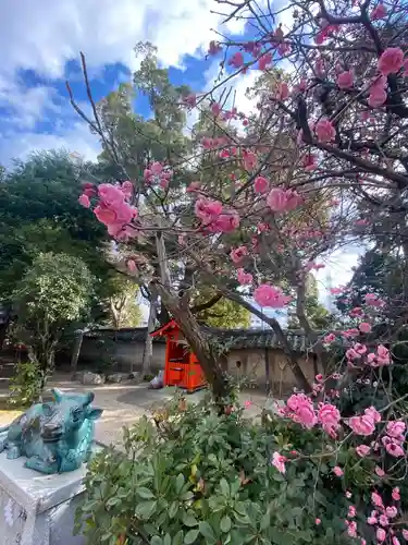 片埜神社の自然