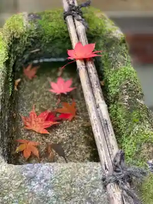 詩仙堂(丈山寺)の手水舎