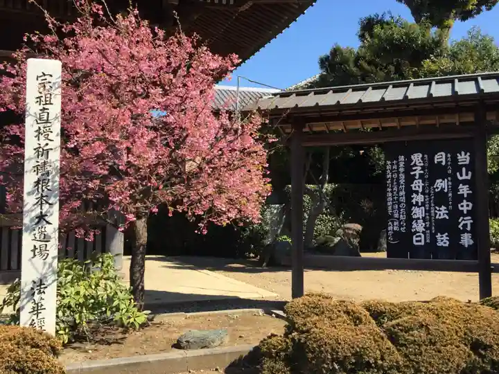 法華経寺の自然