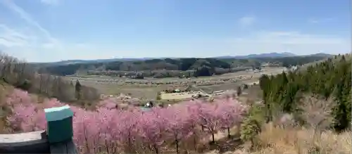 夏井諏訪神社(福島県)