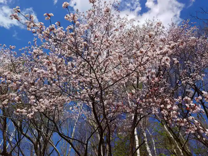 相馬神社(北海道)