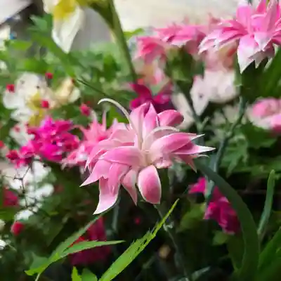 滑川神社 - 仕事と子どもの守り神の手水舎