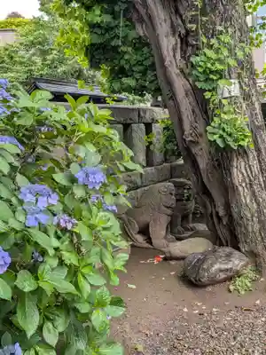 麻布氷川神社(東京都)
