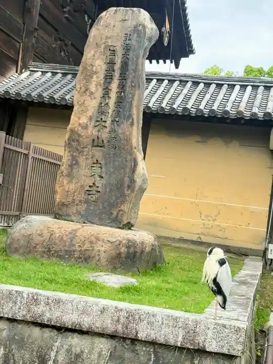 東寺(教王護国寺)(京都府)
