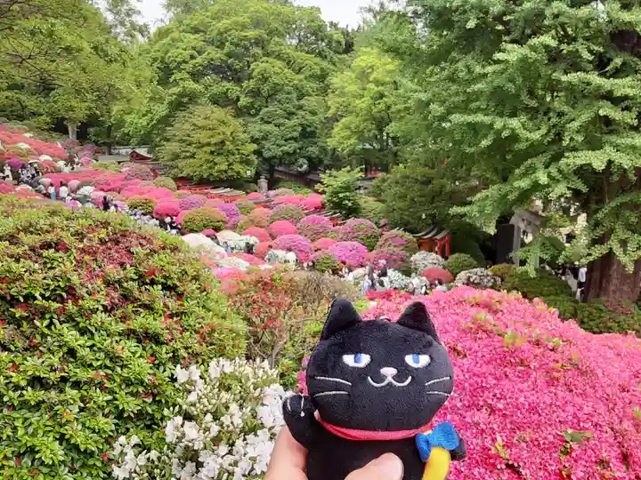 根津神社(東京都)