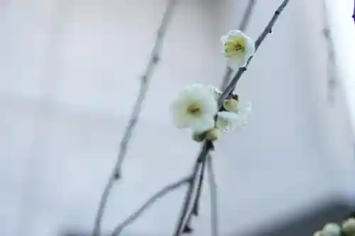 北谷稲荷神社の自然