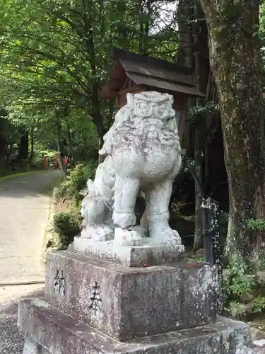 敢國神社の狛犬