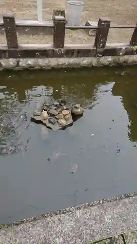 金刀比羅神社の庭園