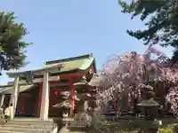 住吉大社の鳥居