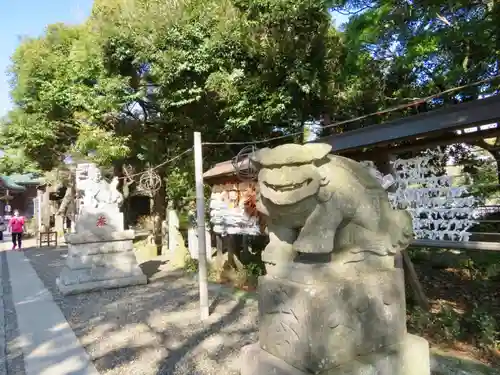 菊田神社の狛犬