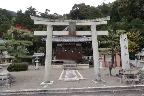 日吉神社の鳥居