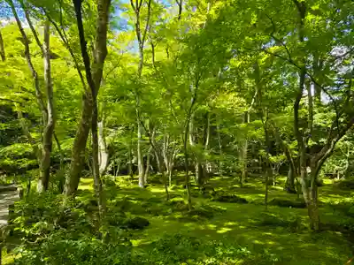 祇王寺(京都府)