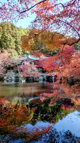 醍醐寺(京都府)
