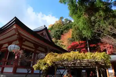鞍馬寺(京都府)