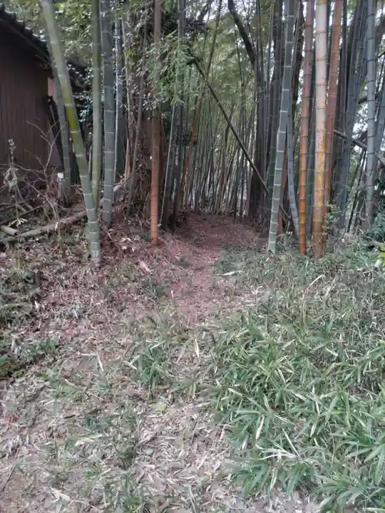 足尾山神社の自然