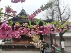 素盞雄神社の自然