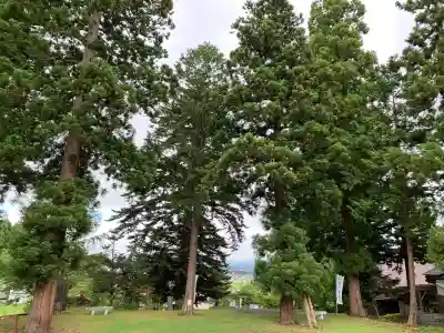 日本芸能神社の{uncategorized: "未分類", other: "その他", undefined: "問題あり", building: "その他建物", grave: "お墓", sacred_gate: "鳥居", guardian: "狛犬", statue: "像", buddha: "仏像", history: "歴史", nature: "自然", garden: "庭園", animal: "動物", pagoda: "塔", temizu: "手水舎", mountain_gate: "山門・神門", sanctuary: "本殿・本堂", subordinate: "末社・摂社", art: "芸術", scenery: "景色", jizo: "地蔵", ema: "絵馬", goshuin: "御朱印", omikuji: "おみくじ", items: "授与品その他", amulet: "お守り", goshuincho: "御朱印帳", eats: "食事", festival: "お祭り", votive_dance: "神楽", shichigosan: "七五三参", wedding: "結婚式", experience: "体験その他", initially: "初詣", around: "周辺", anti_infection: "感染症対策"}