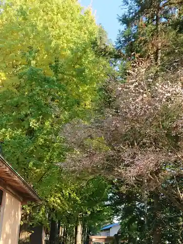 下野 星宮神社のその他建物