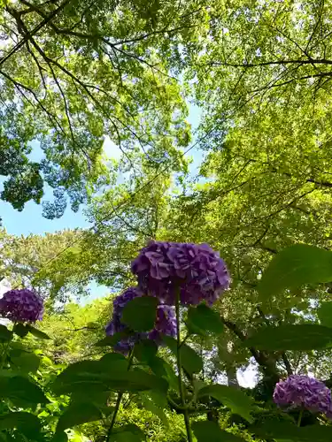 報徳二宮神社の自然