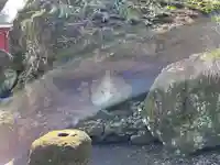 妙義神社(群馬県)