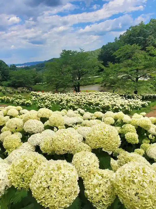 陽林寺(福島県)