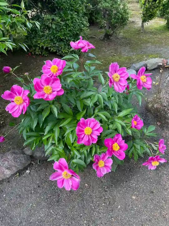 法雲寺(大阪府)