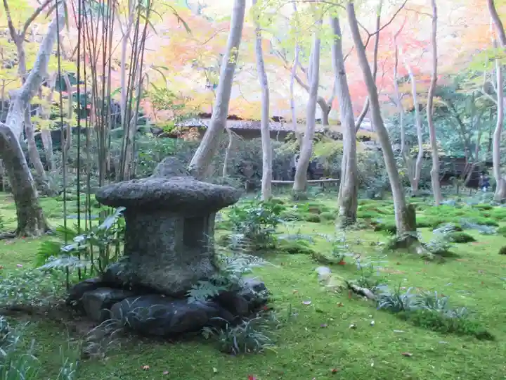 祇王寺(京都府)