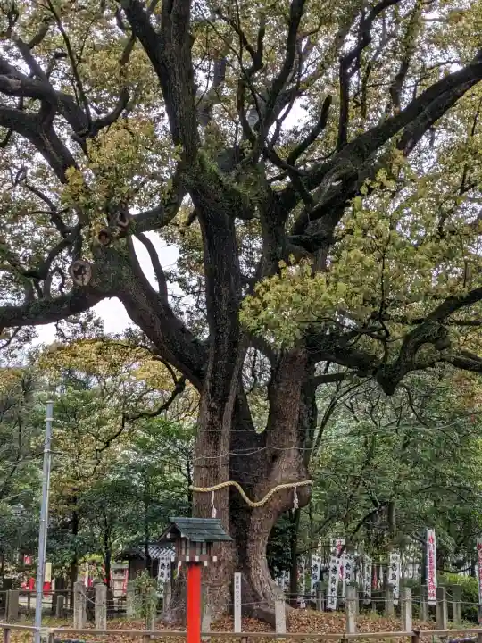 鳴海八幡宮の{uncategorized: "未分類", other: "その他", undefined: "問題あり", building: "その他建物", grave: "お墓", sacred_gate: "鳥居", guardian: "狛犬", statue: "像", buddha: "仏像", history: "歴史", nature: "自然", garden: "庭園", animal: "動物", pagoda: "塔", temizu: "手水舎", mountain_gate: "山門・神門", sanctuary: "本殿・本堂", subordinate: "末社・摂社", art: "芸術", scenery: "景色", jizo: "地蔵", ema: "絵馬", goshuin: "御朱印", omikuji: "おみくじ", items: "授与品その他", amulet: "お守り", goshuincho: "御朱印帳", eats: "食事", festival: "お祭り", votive_dance: "神楽", shichigosan: "七五三参", wedding: "結婚式", experience: "体験その他", initially: "初詣", around: "周辺", anti_infection: "感染症対策"}