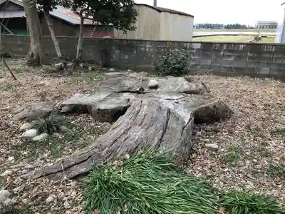 神田神社の自然