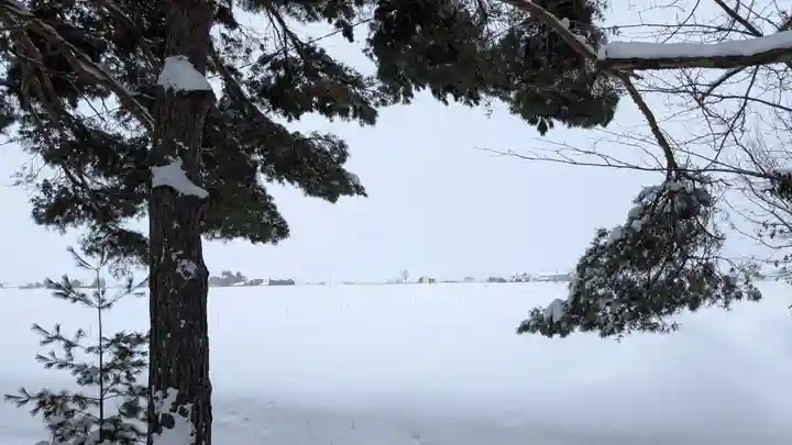 神楽神社の景色