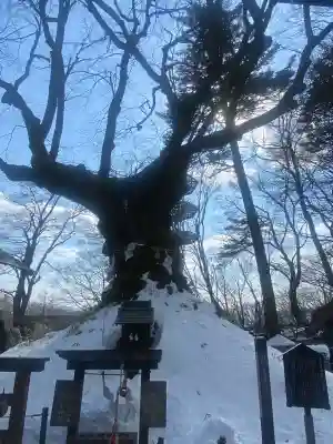 熊野皇大神社(長野県)