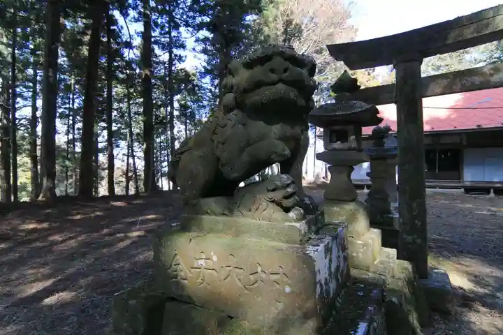 沢井八幡神社の狛犬
