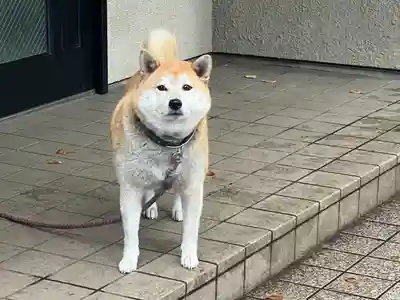 笠䅣稲荷神社(神奈川県)