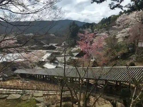 長谷寺の景色