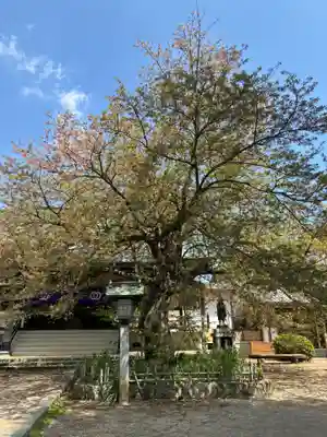 清瀧院(千葉県)