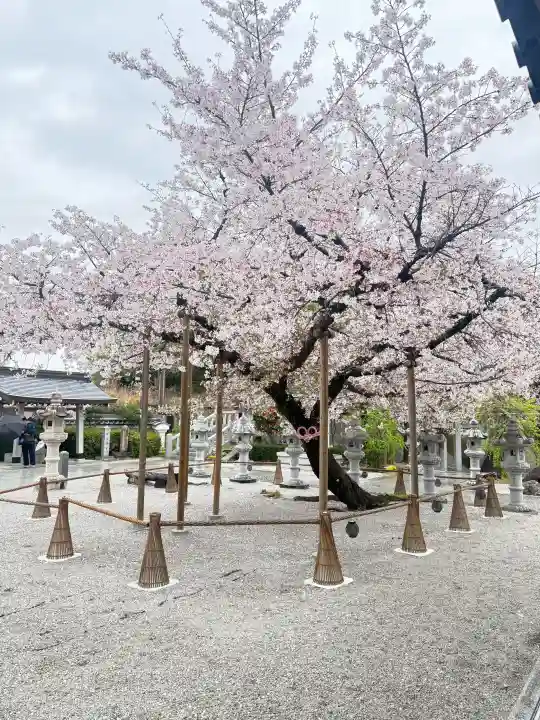 伊和志津神社の{uncategorized: "未分類", other: "その他", undefined: "問題あり", building: "その他建物", grave: "お墓", sacred_gate: "鳥居", guardian: "狛犬", statue: "像", buddha: "仏像", history: "歴史", nature: "自然", garden: "庭園", animal: "動物", pagoda: "塔", temizu: "手水舎", mountain_gate: "山門・神門", sanctuary: "本殿・本堂", subordinate: "末社・摂社", art: "芸術", scenery: "景色", jizo: "地蔵", ema: "絵馬", goshuin: "御朱印", omikuji: "おみくじ", items: "授与品その他", amulet: "お守り", goshuincho: "御朱印帳", eats: "食事", festival: "お祭り", votive_dance: "神楽", shichigosan: "七五三参", wedding: "結婚式", experience: "体験その他", initially: "初詣", around: "周辺", anti_infection: "感染症対策"}