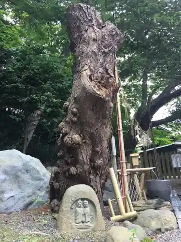 千歳神社の自然